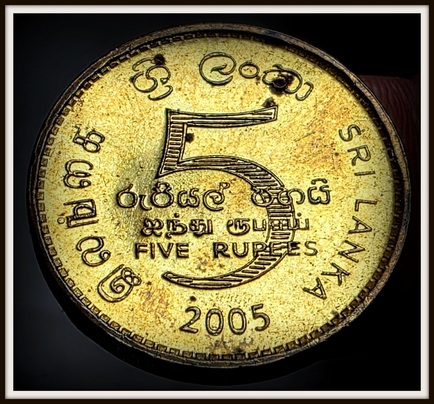 Tutti le monete: SRI LANKA 5 RUPEES 2005 – Usato da Winterthur venduto da Creso70 1