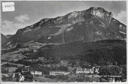 Institut Ingenbohl mit Frohnalpstock