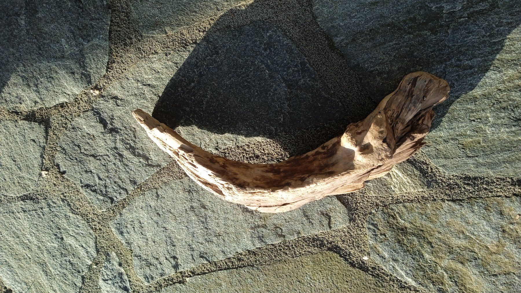 Articoli in legno: Dekor Schwemmholz – Nuovo e nell'imballaggio originale da Widnau venduto da ForViolin 2