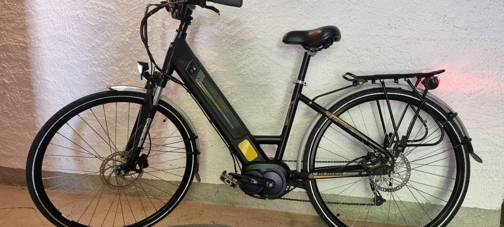 Trelago Biciclette: E-Bike – Usato da Frauenfeld venduto da nazanin 1