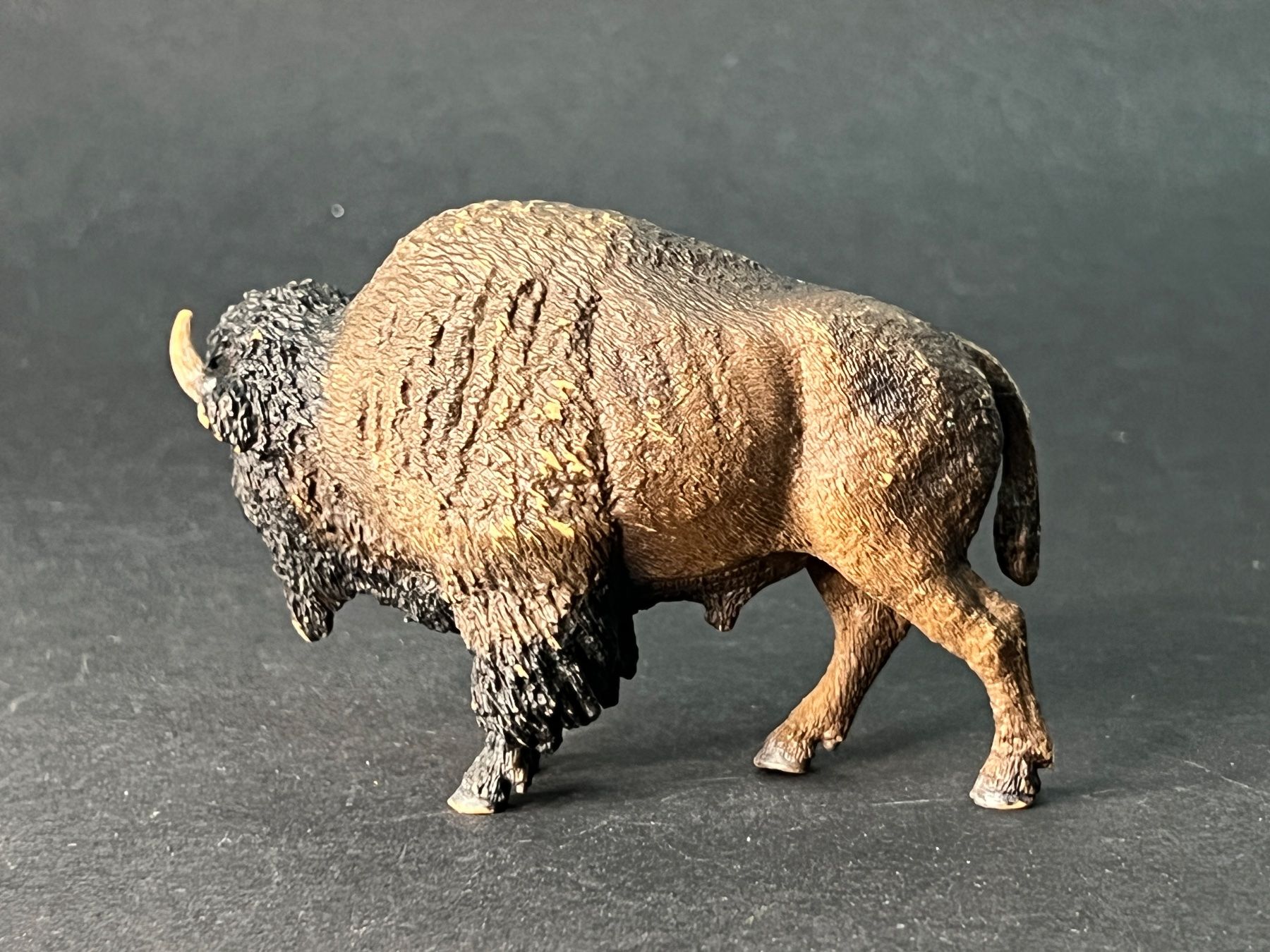 Schleich Statuette: Schleich 14714 Bison – Usato da Ennetbaden venduto da mapa05 2