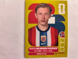 W Cup 2026 Norvége N°6 Holmgren