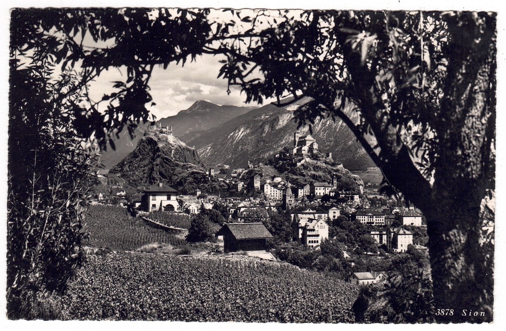 Ansichtskarten: Sion – Gebraucht aus La Tour-de-Peilz von amjust