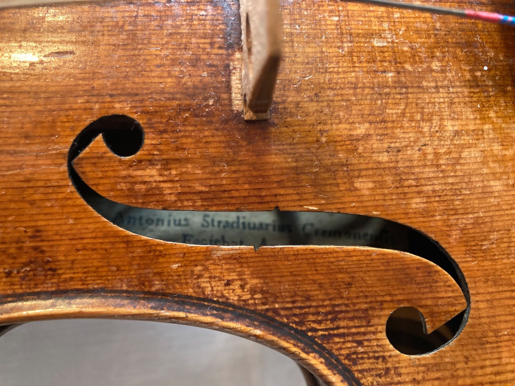 Strumenti musicali: Antonius Stradivarius Violine – Usato da Rüti ZH venduto da coccinelle88 2