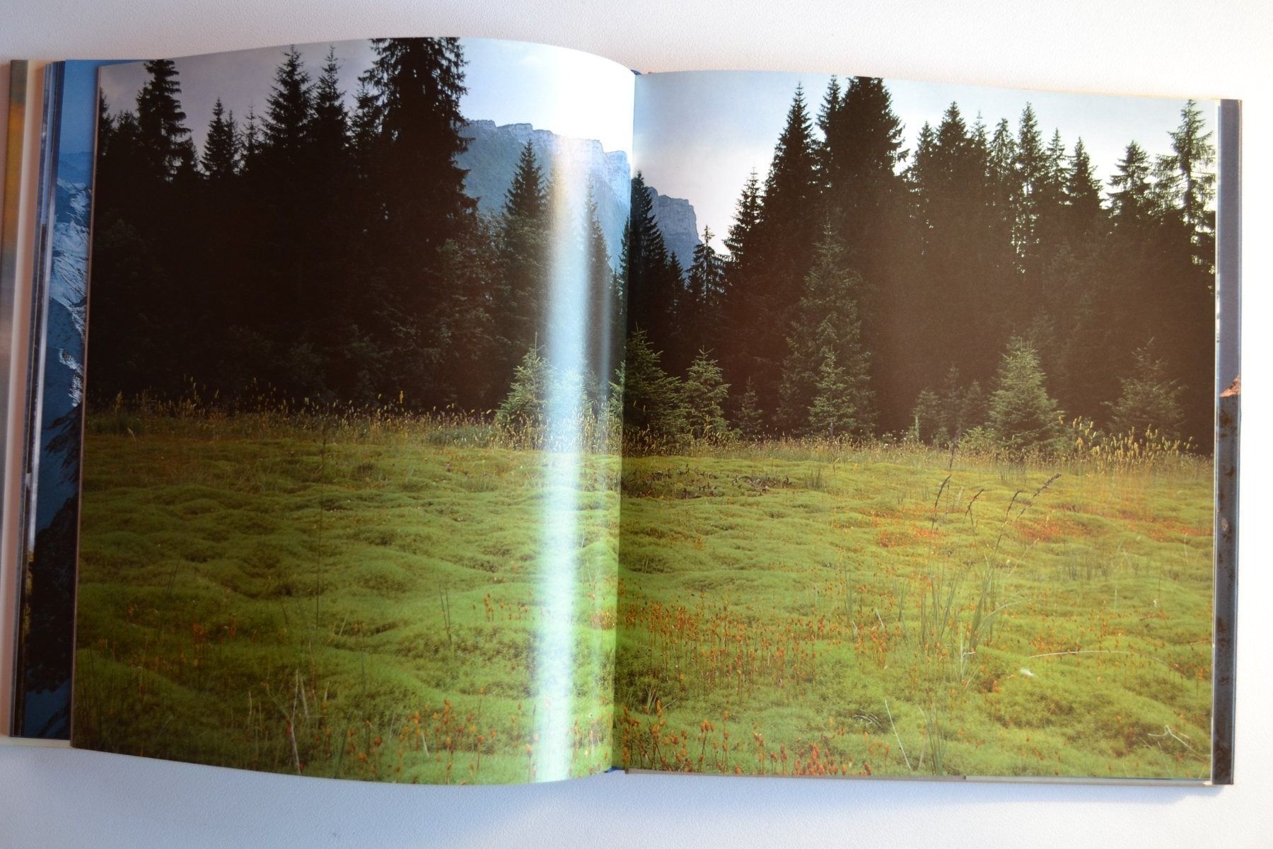 Libri: Unsere Alpen – Usato da Beinwil am See venduto da kajak55 3