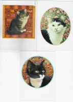 3 AK Katzen - Lesley Anne Ivory