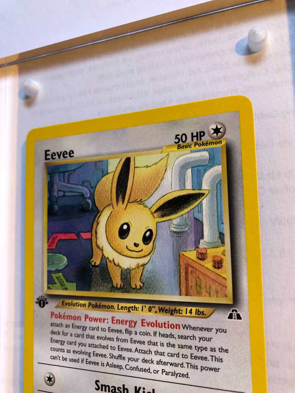 Carte collezionabili: Eevee 1st (uncommon) Neo Discovery - MINT - ab 1.- – Usato da Giubiasco venduto da dan_pr8b 3