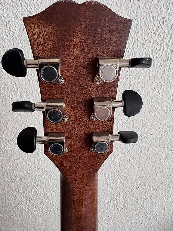 Strumenti musicali: Dowina Danubius DCE – Usato da Weesen venduto da elp_zyf5 2