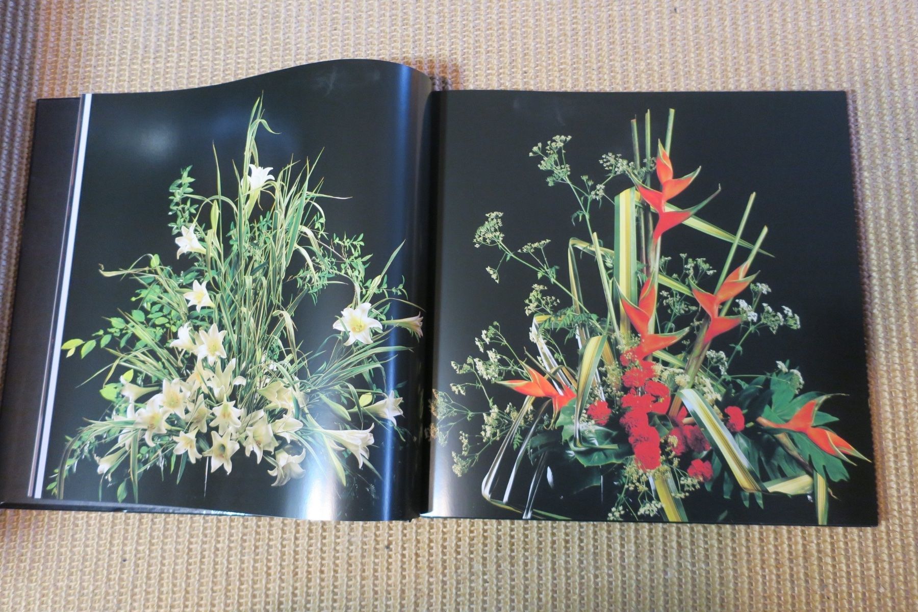 Libri: Eckart Witzigmann - Highlights – Usato da Langenthal venduto da Riccardamax 6
