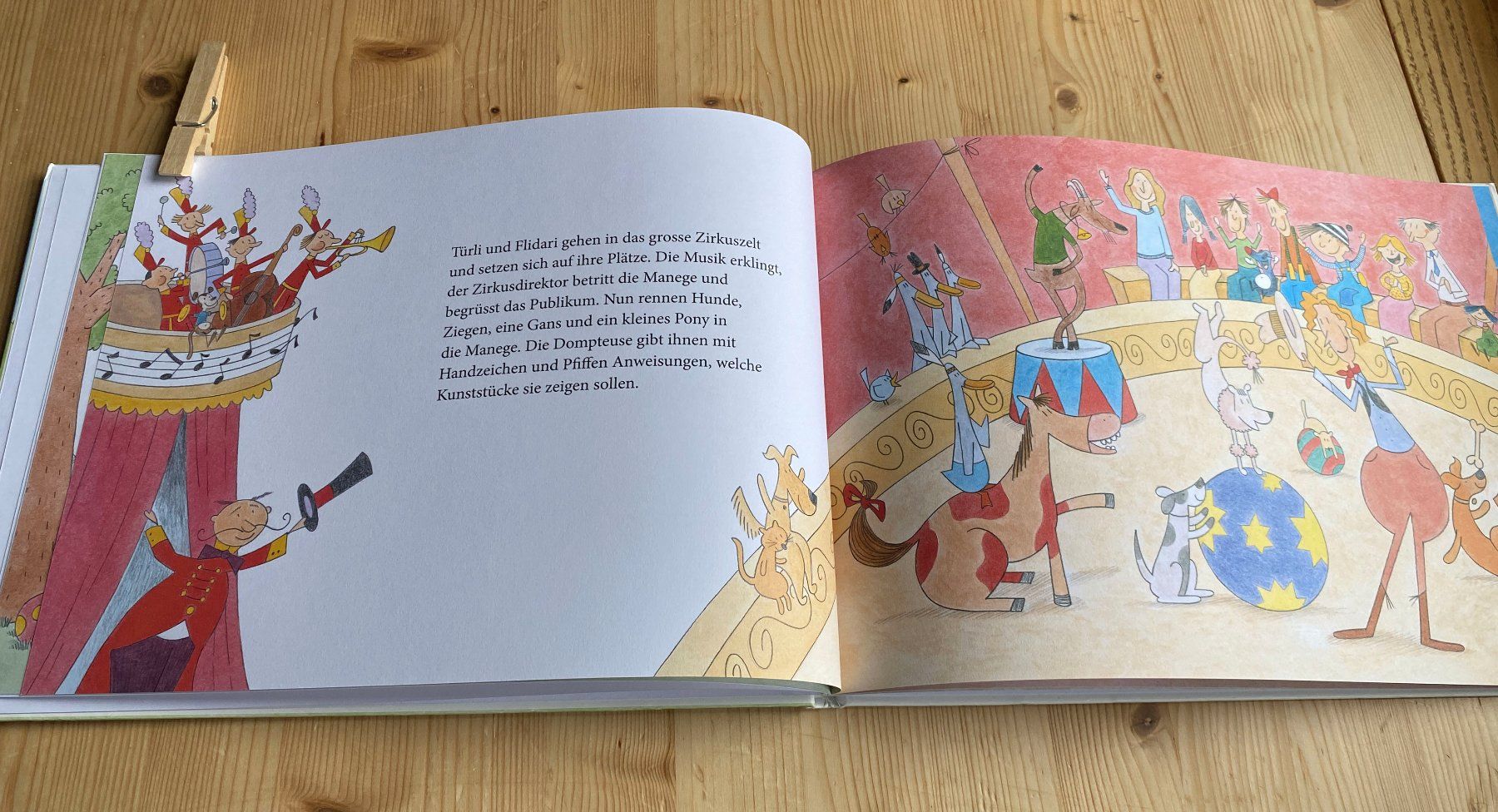 Libri: Türli & Flidari im Zirkus – Usato da Weinfelden venduto da Cheyenne21 3
