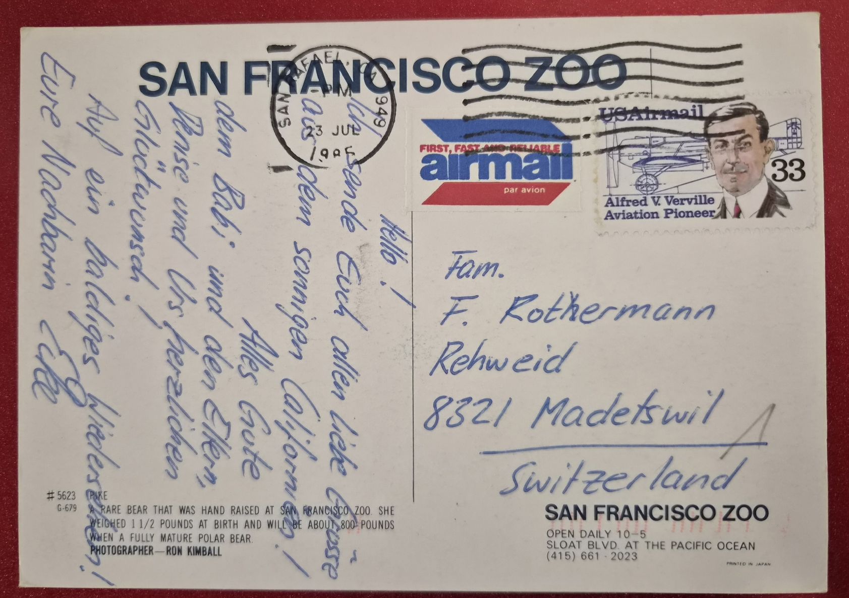 Ansichtskarten: San Francisco Zoo Eisbärbaby 1985 – Gebraucht aus Melchnau von Arthurius 1