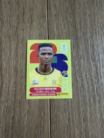 Panini FIFA World Cup 2026, RSA 7