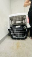 Hundetransportbox gross weiss schwarz guter Zustand