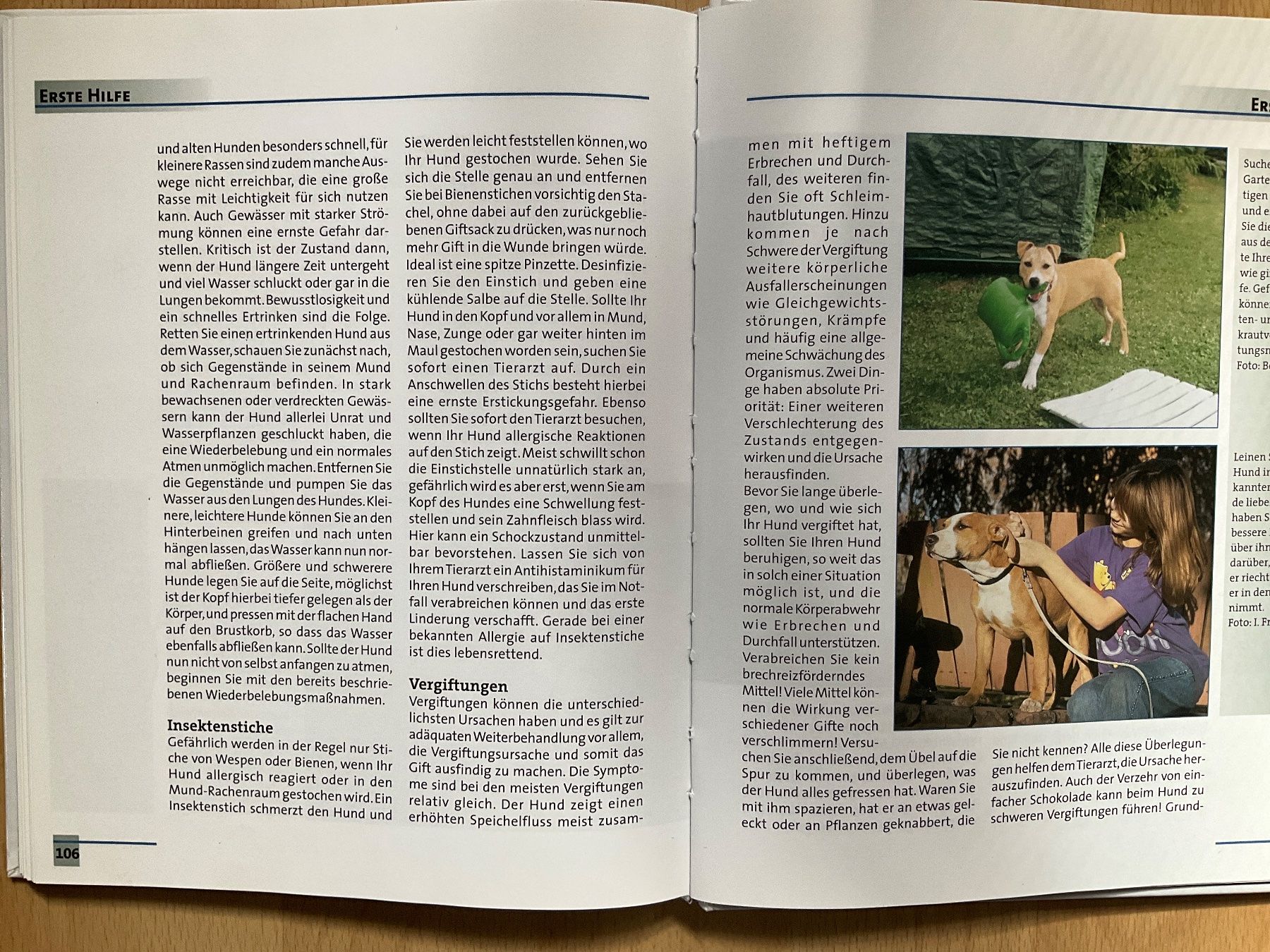 Libri: American Staffordshire Terrier - Buch – Usato da Avenches venduto da Lactobacille 2