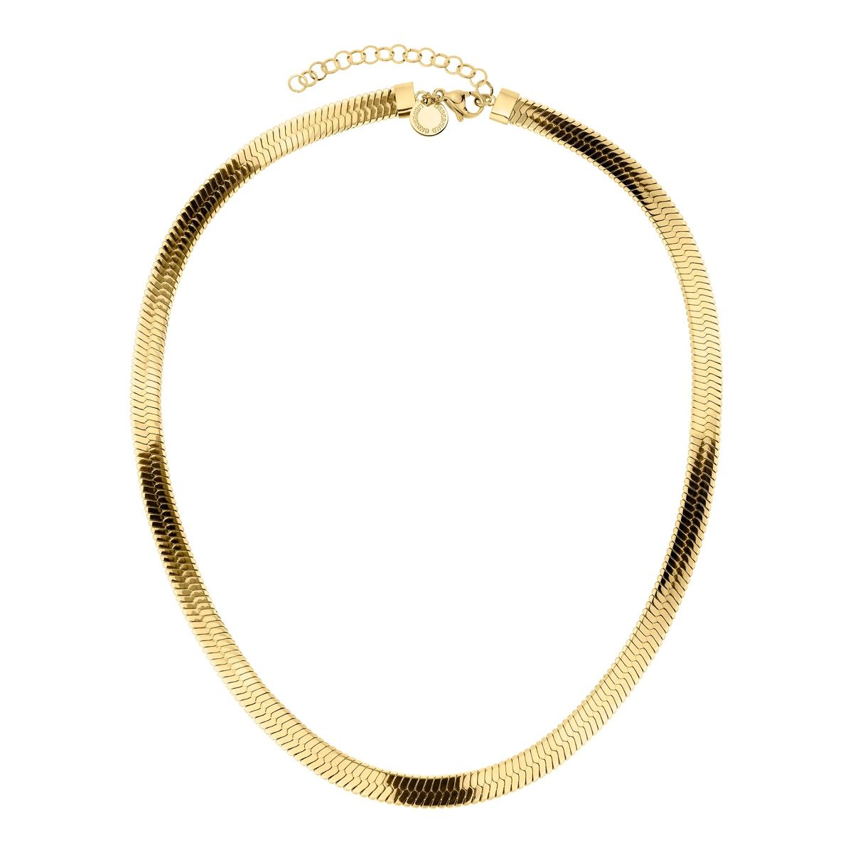 Liebeskind Catenine: Liebeskind Goldkette, Schlangenmuster, Statementkette – Nuovo e nell'imballaggio originale da Hölstein venduto da SelcCe