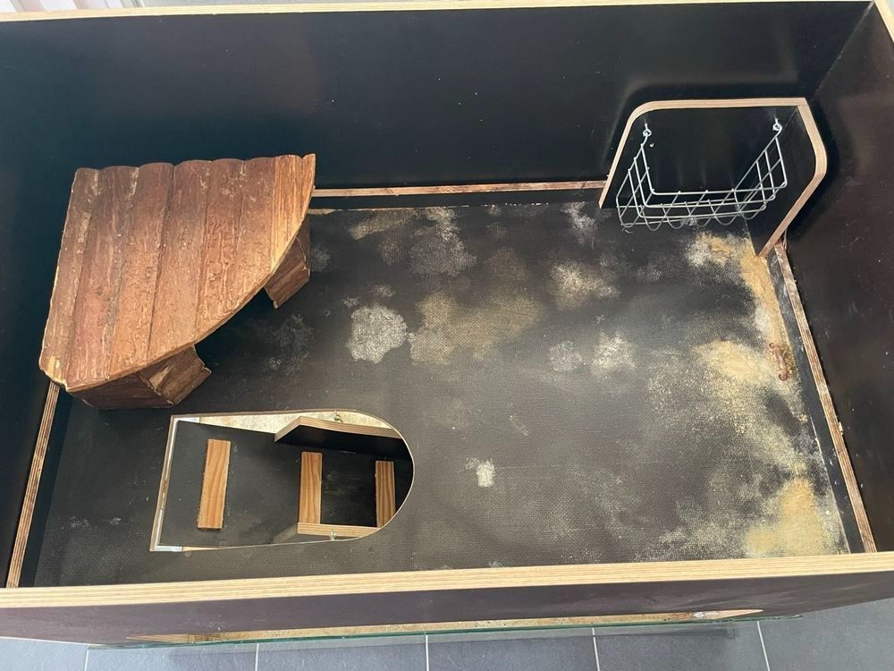 Gabbie, trasporto & Sicurezza: !! Meerschweinchen-Stall 2 -Stöckig!! – Usato da Grossdietwil venduto da GNOM313 1