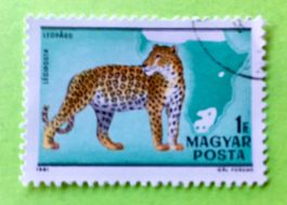 Briefmarken aus Ungarn gestempelt Siehe Original Fotos. 
