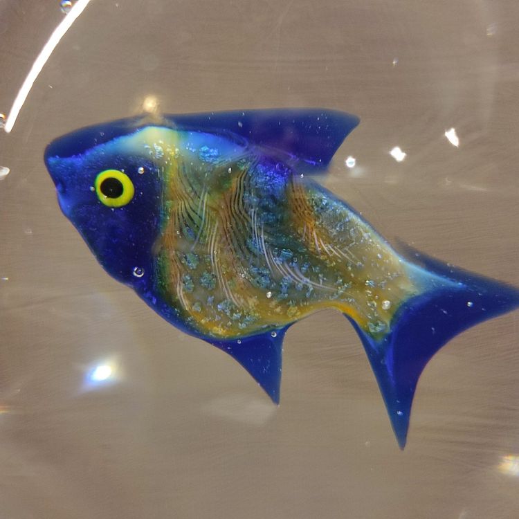 Murano Glaskugel mit Fisch von Vittorio Costantini Kaufen auf Ricardo