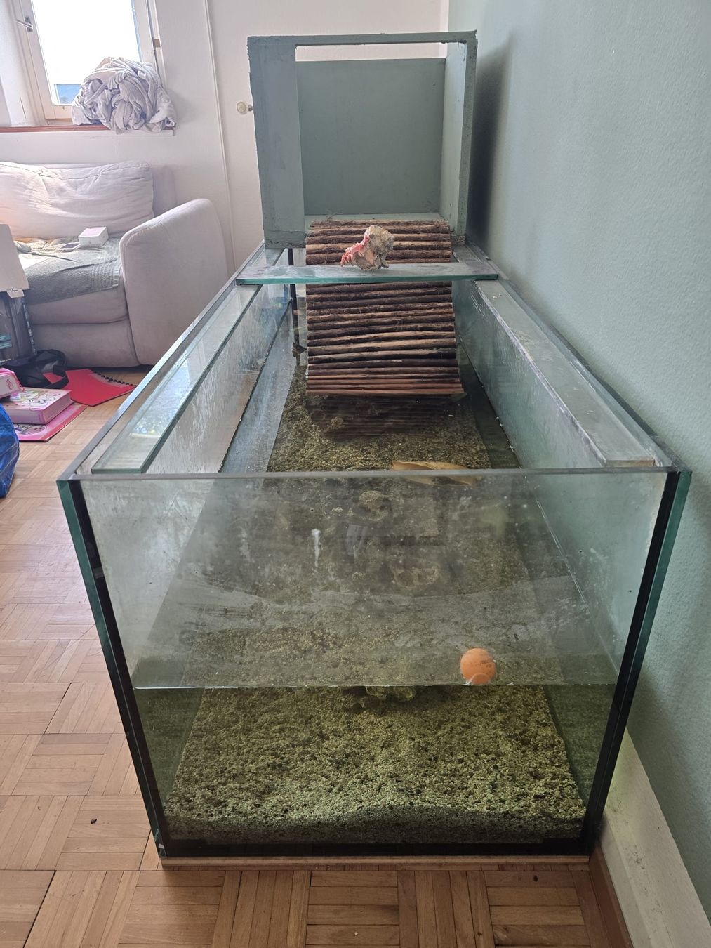 Acquari: Used Aquarium - 200x60x60cm – Usato da Zürich venduto da jjr_62ng 6