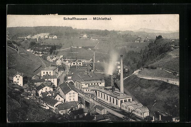 Cartoline postali: Schaffhausen, Totalansicht mit Sicht ins – Usato da Berlin venduto da bartko-reher