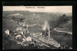 Schaffhausen, Totalansicht mit Sicht ins