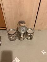 Deko Muscheln in 3 Gläsern neuwertig