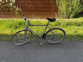 Siech Cycle Velo
