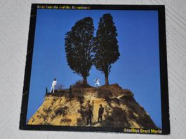 LP Elvis Costello and the Attractions - Goodbye Cruel World