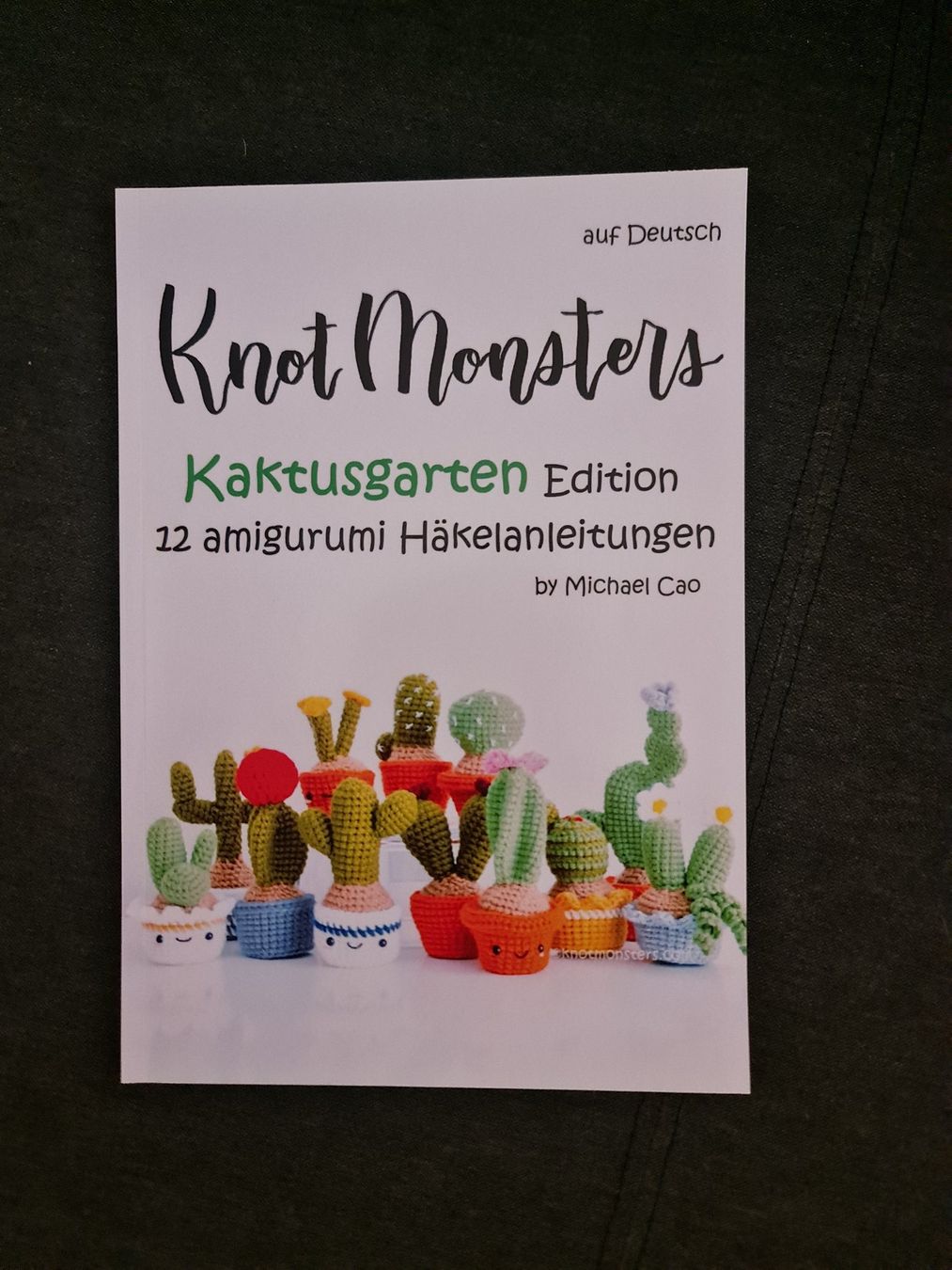 Libri: Buch - gehäkelte Kakteen – Nuovo (secondo la descrizione) da Turbenthal venduto da SiBra77