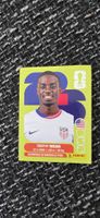 USA 12 PANINI 