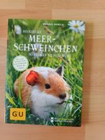 Neugierige Meerschweinchen So fühlen sie sich wohl Ratgeber