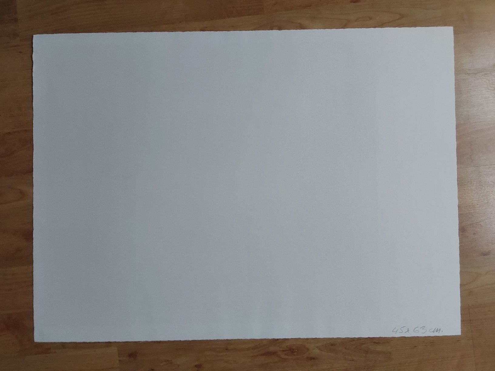 Grafica & Litografie: Erni Hans. Lithographie 45x63cm. – Usato da Steinach venduto da Chilli1957 1