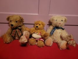 Teddybär