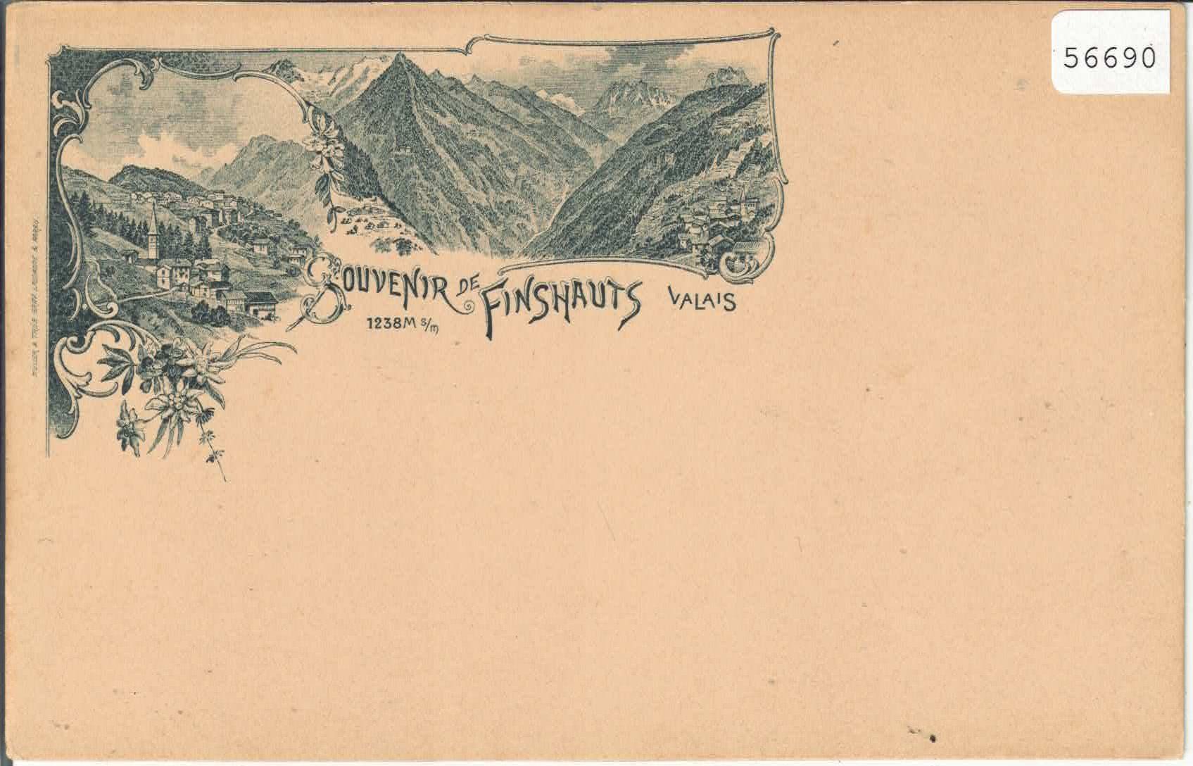Ansichtskarten: Souvenir de Finshauts - graue Litho – Gebraucht aus Ettingen von Kartenplanet