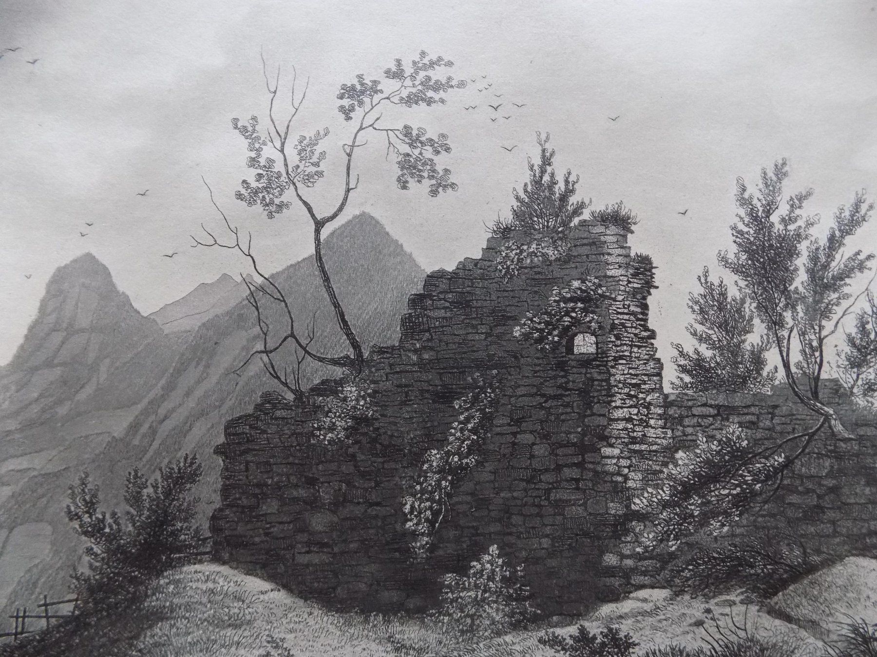 Incisioni: Ruine Rotzberg Ennetmoos – Usato da Risch venduto da Rischli15 1