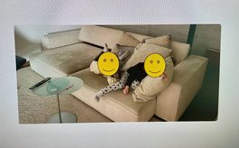 B&B Sofa ANDY 292