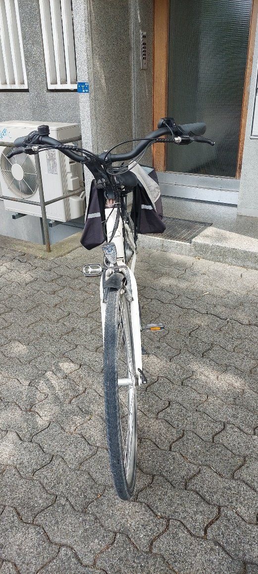 Biciclette: E bike zu verkaufen – Usato da Bern venduto da Pescha0 3