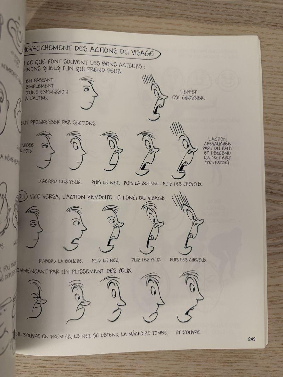 Libri: Techniques d'animation par Richard Williams - Superbe livre – Usato da Castagnola venduto da pgo_7syd 7