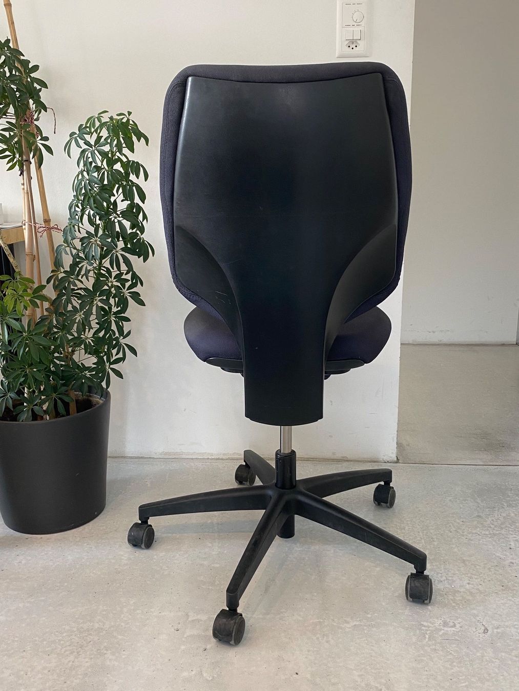 Giroflex Sedie: Giroflex Bürostuhl, 6 Stk – Usato da Chur venduto da has_f8lc 2