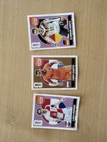 3 Panini Extra Sticker