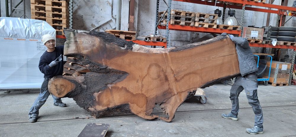 XXL Esche gedämpft, 90mm (Neu (gemäss Beschreibung)) in Kloten für CHF ...