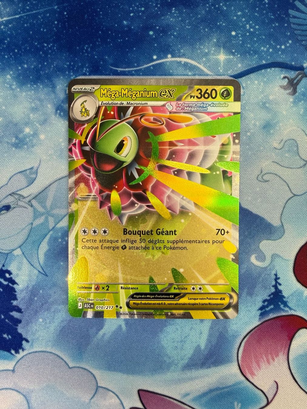 Pokémon Carte collezionabili: Méga-Méganium EX - ASC 010 FR – Nuovo (secondo la descrizione) da Courgenay venduto da ScamBoxOff