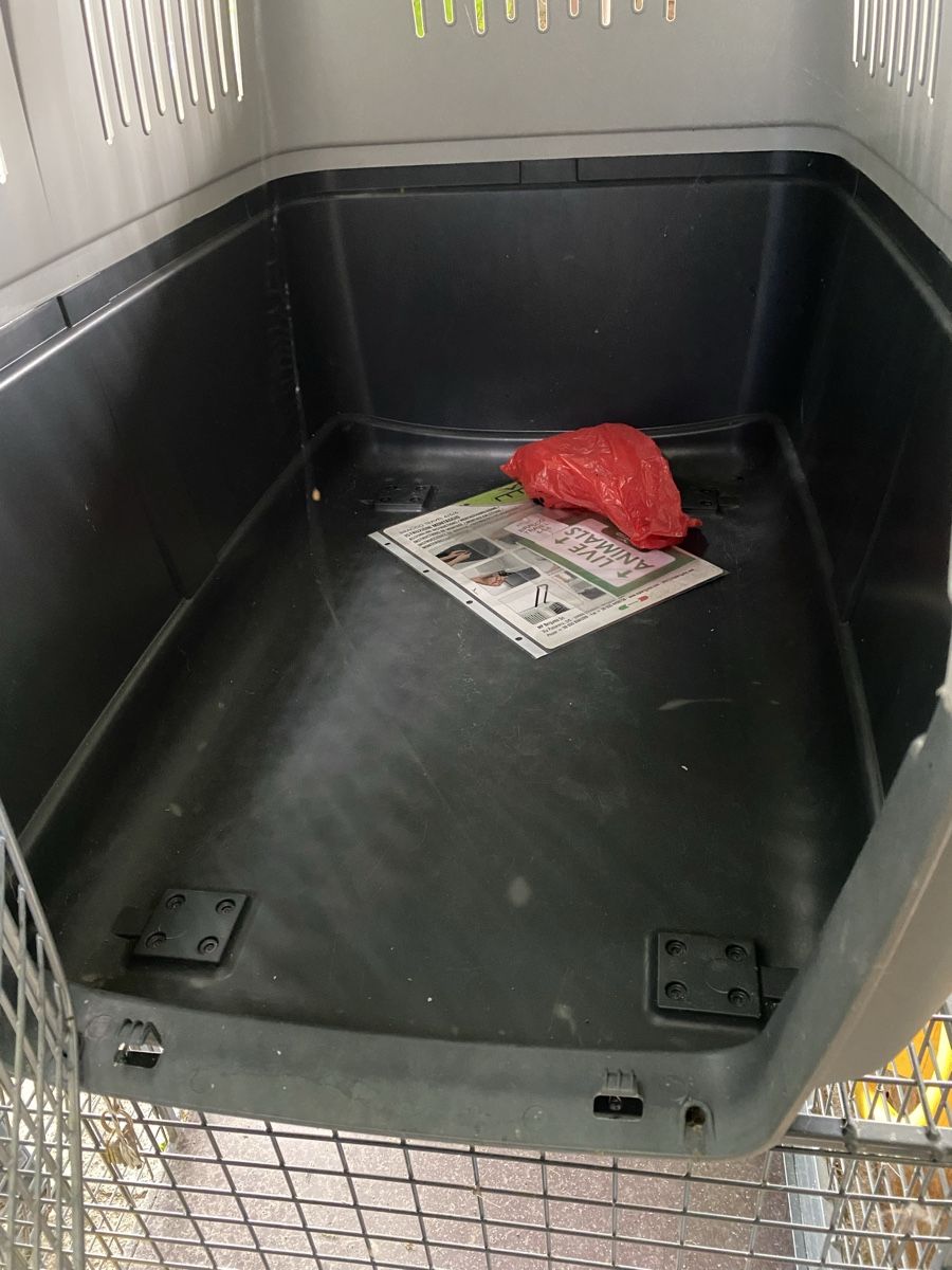 Gabbie, trasporto & Sicurezza: Hundebox Transportbox grau Grösse L  – Usato da Merligen venduto da shalimar64 4