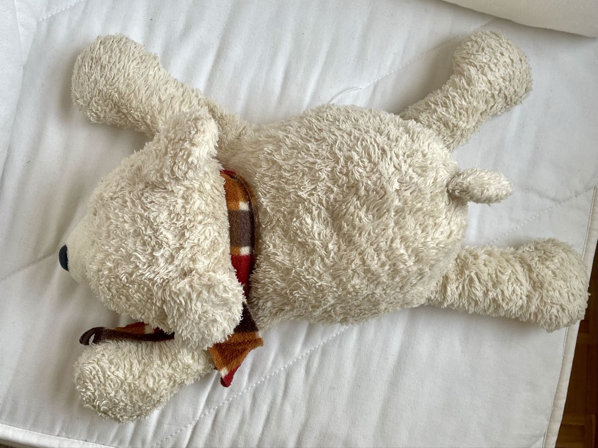 Giocattoli: Teddybär / Benny-Energiebär – Usato da Frauenfeld venduto da Ronja07 1