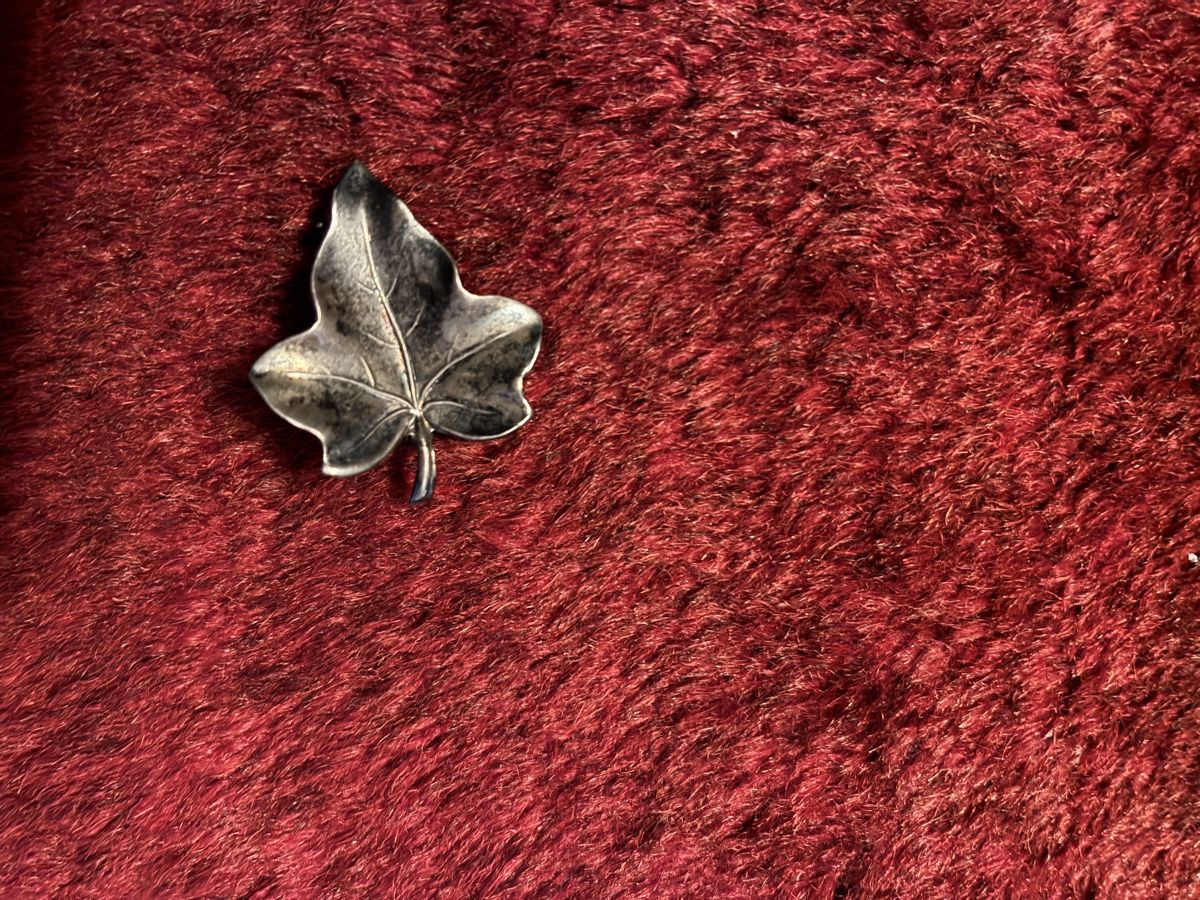 Spille & Fermagli: Antike Brosche Efeu-Blatt Silber, – Usato da Urnäsch venduto da schneewittli.