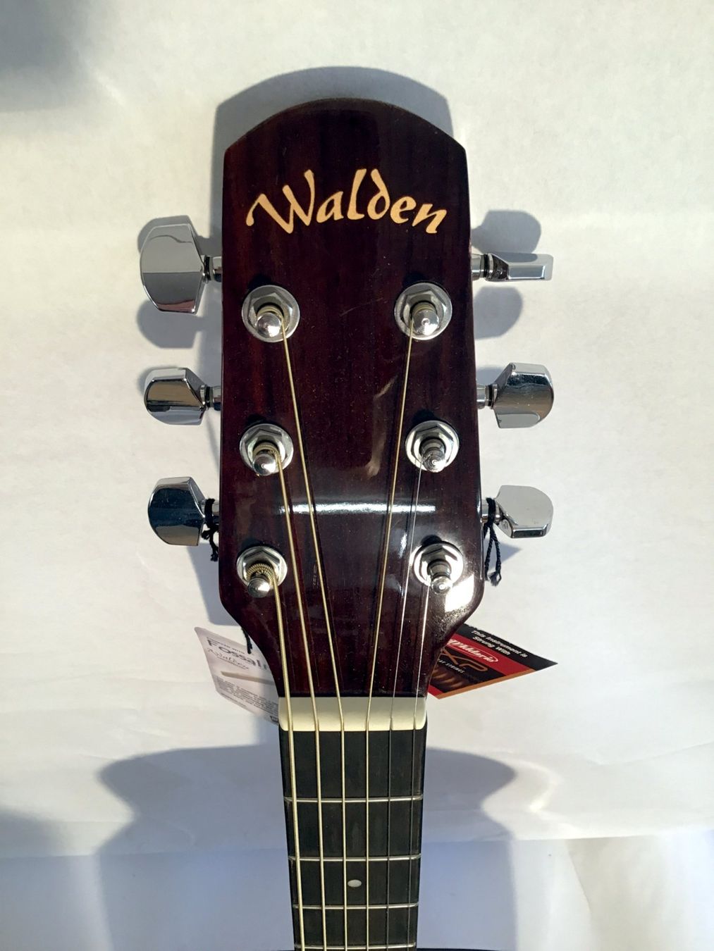 Strumenti musicali: Westerngitarre Walden D350 akustisch – Nuovo (secondo la descrizione) da Dübendorf venduto da sdbu-frappant 1