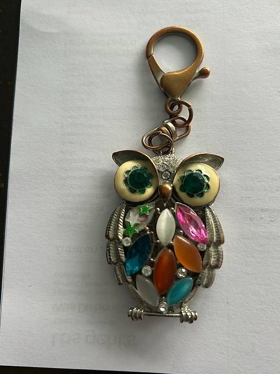Broches & Aiguilles: Modeschmuck mit Eulensujets – D'occasion à Möriken AG par Doris5103