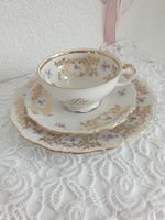 Sammeltasse Vintage Shabby Chic Rosen Seltmann Weiden