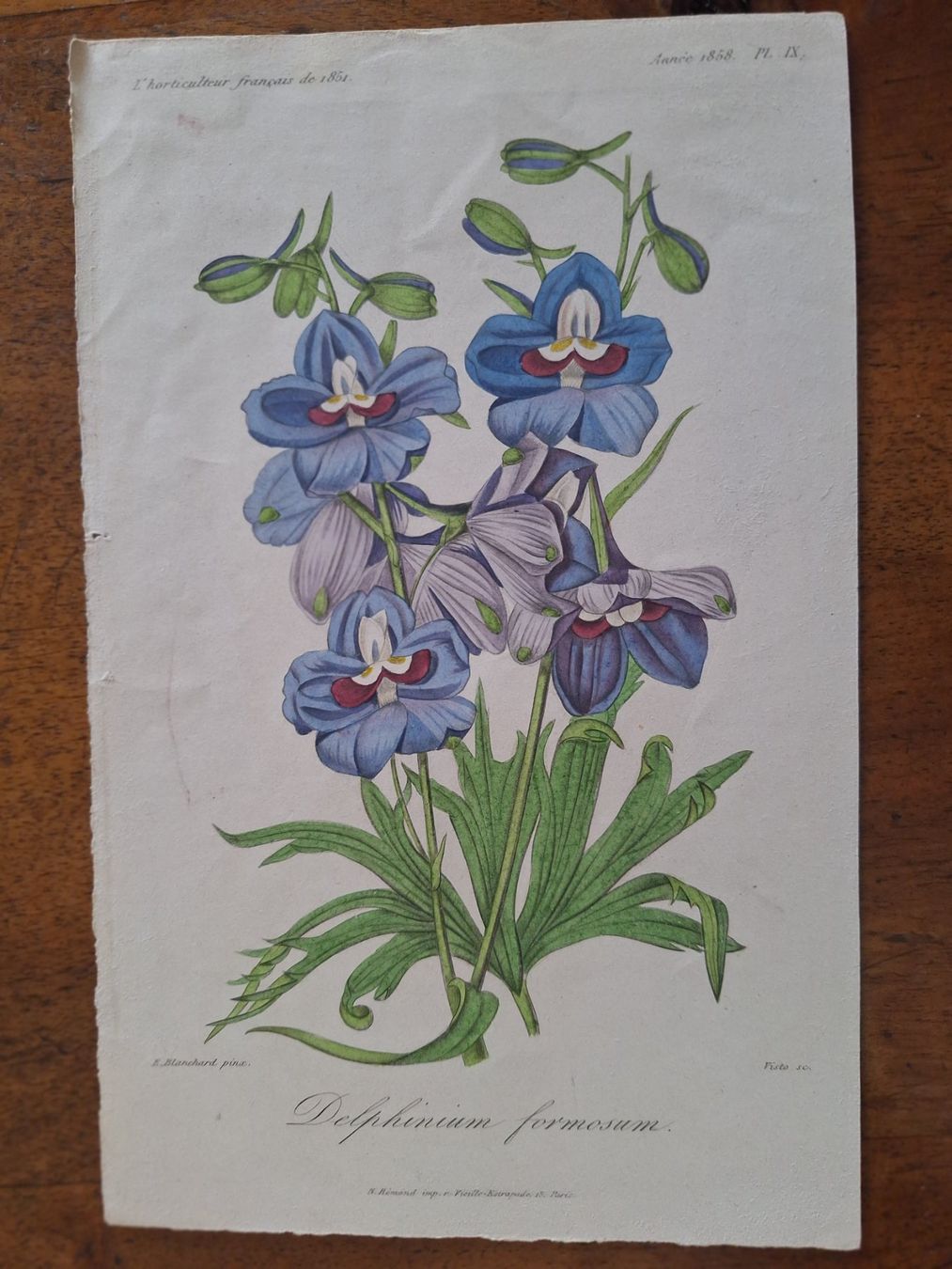 Stiche: FLEURS  6 GRAVURES – Gebraucht aus Bevaix von bohrap 4