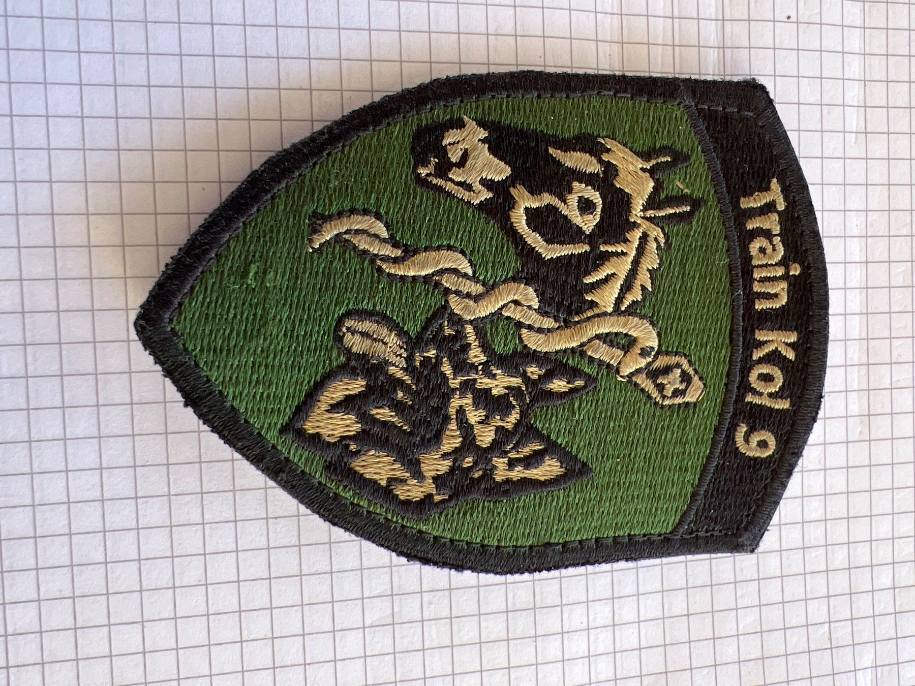 Schweizer Armee Plaketten & Abzeichen: Armee Badge Train Kol.9 – Gebraucht aus Thun von IBT1